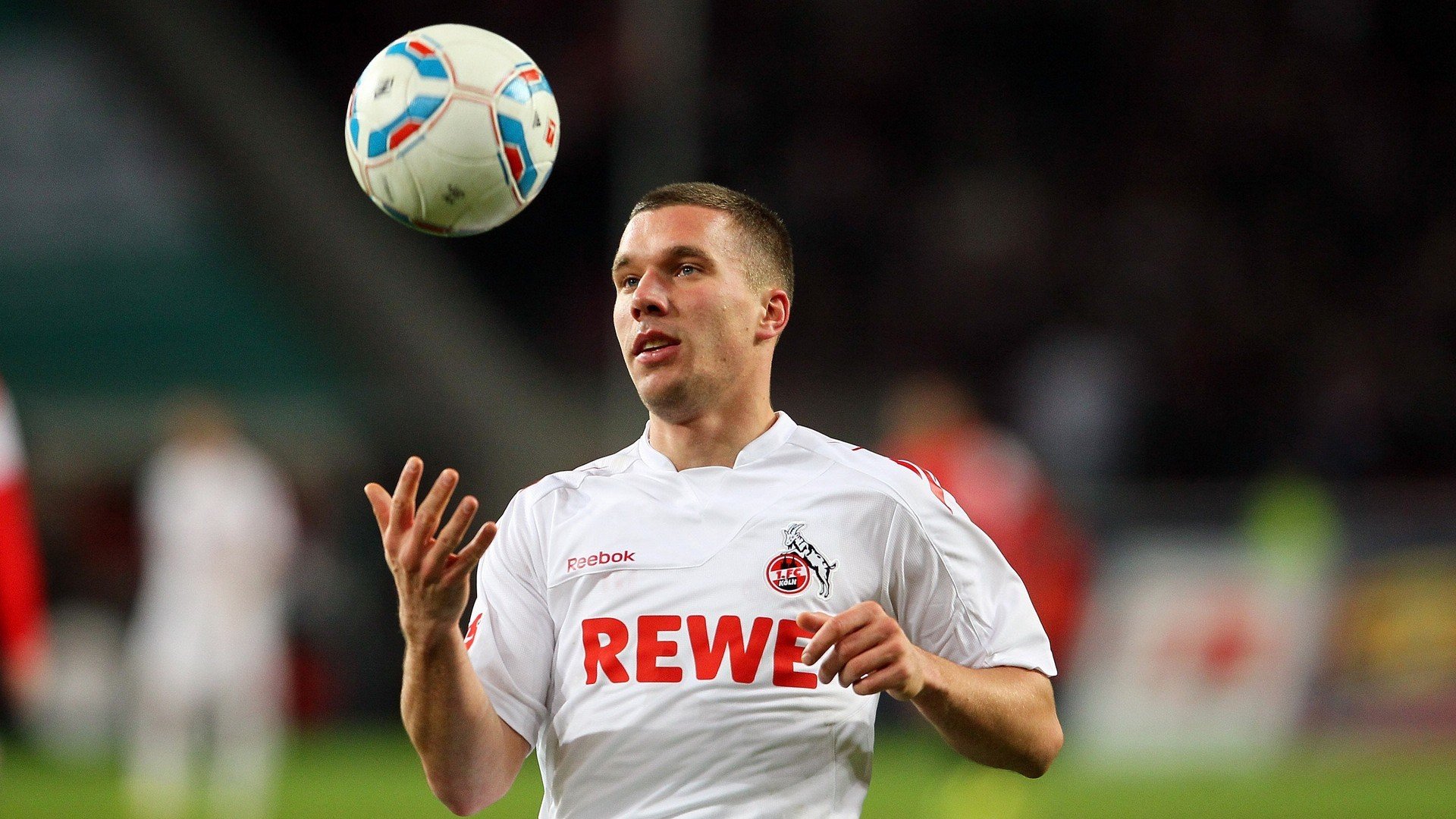 赛道上的双重奏，威廉姆斯力克哈斯，诺里斯刷新单圈纪录